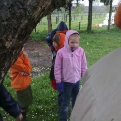 52010629 - Scouts en Gidsen Zaventem 